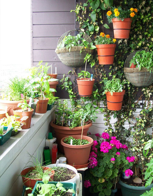 Landscaping Small Balcony