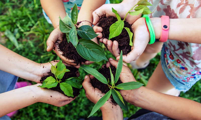 Gardening-Summer holiday activities for students